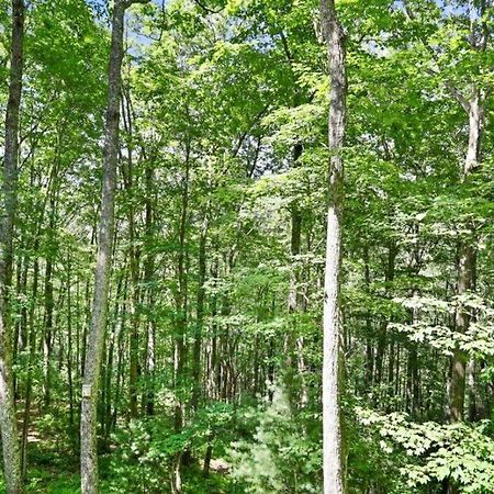 Open Studio Lodge At Little Rock Creek Cherry Log 외부 사진