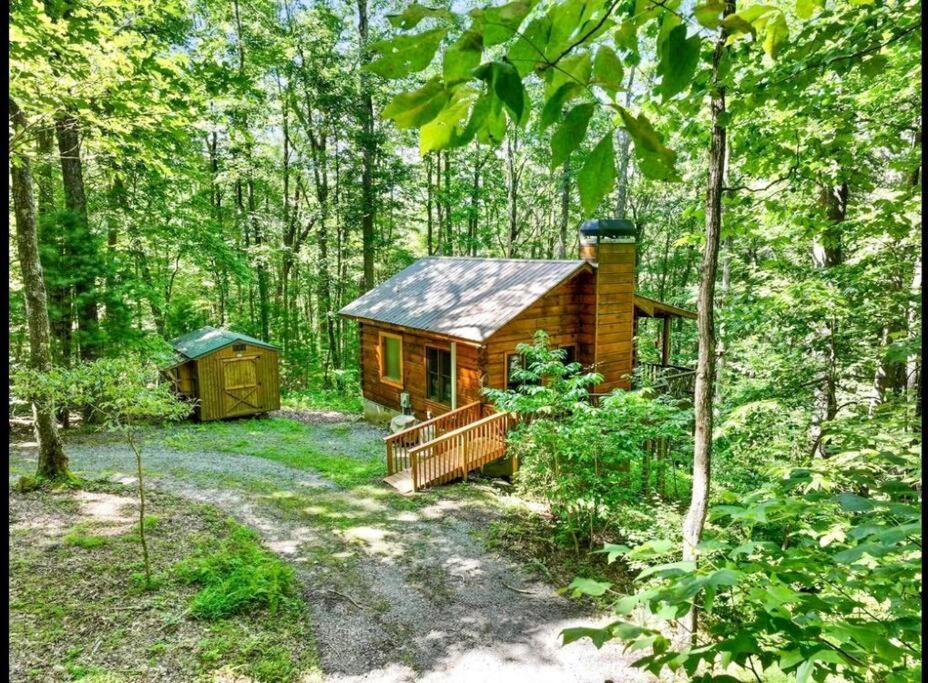 Open Studio Lodge At Little Rock Creek Cherry Log 외부 사진